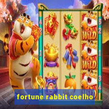 fortune rabbit coelho